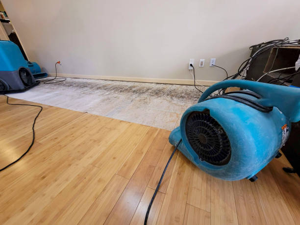Professional Water Damage Repair technician working in Nephi, UT